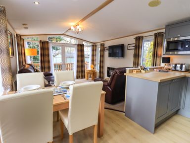 An open-plan living and dining area with a dining table set for four, leather armchairs, a wall-mounted TV, a kitchen counter with appliances, and windows with curtains at Squirrels Snug in Pony Meadow 1 White Cross Bay near Windermere