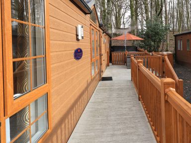 A wooden deck with railing outside a cabin in a wooded area at Squirrels Snug in Pony Meadow 1 White Cross Bay near Windermere