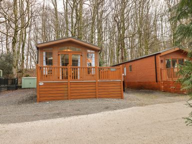 Two wooden cabins with small porches surrounded by trees at Squirrels Snug in Pony Meadow 1 White Cross Bay near Windermere