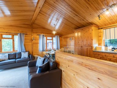 An open plan living area with wooden walls and ceiling containing sofas and a kitchen with cabinets at Lakeshaven Skiptory Howe 16 White Cross Bay near Windermere