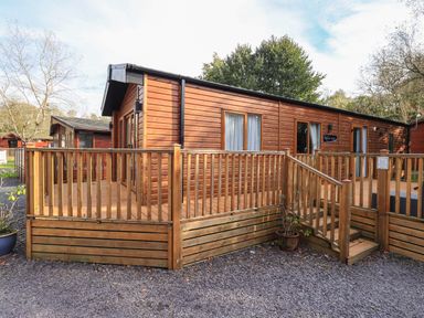 A wooden lodge with a fenced deck and stairs surrounded by trees at Glenridding Lodge in Grasmere 2 White Cross Bay near Windermere