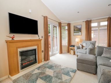 A living room with a fireplace TV armchair sofa and a rug at Pheasant's Nest Kirkstone 11 Limefitt Park near Windermere