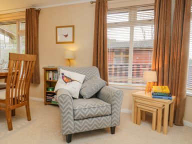 A living room with an armchair and decorative cushions beside a window with curtains at Pheasant's Nest Kirkstone 11 Limefitt Park near Windermere