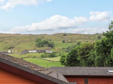 Roofs of wooden buildings with grassy hills and trees in the background at Pheasant's Nest Kirkstone 11 Limefitt Park near Windermere
