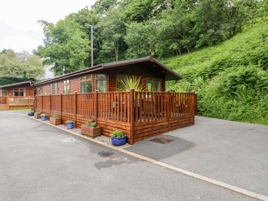 A wooden lodge with a fenced patio and potted plants on a paved driveway surrounded by trees at Ambleside Lodge Fellside 3 Limefitt Park near Windermere