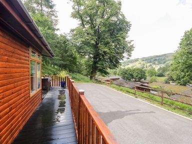 A wooden deck with wet floor and a potted plant outside a cabin near trees and a paved road at Ambleside Lodge Fellside 3 Limefitt Park near Windermere