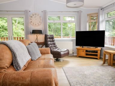 A living room with a brown leather sofa a black chair a wooden TV stand with a TV a floor lamp and large windows at Ambleside Lodge Fellside 3 Limefitt Park near Windermere