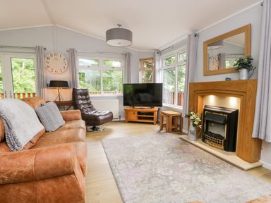 A living room with a leather sofa and chair a television and a fireplace at Ambleside Lodge Fellside 3 Limefitt Park near Windermere