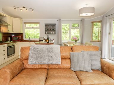 A brown leather sofa with gray cushions and a throw blanket in a room with a kitchen and dining area at Ambleside Lodge Fellside 3 Limefitt Park near Windermere