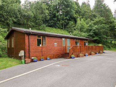 A wooden lodge with potted plants along a paved driveway surrounded by trees at Ambleside Lodge Fellside 3 Limefitt Park near Windermere