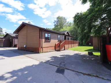 A wooden cabin with steps and a railing surrounded by trees and grass at Thirlmere View Thirlmere 6 White Cross Bay near Windermere