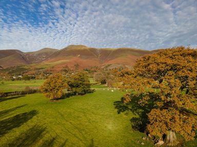 A green field with trees and sheep in front of hills under a cloudy sky at Burr Ghyll Number 27 Burnside Park near Keswick