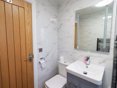 A bathroom with a wooden door a toilet a sink with a cabinet and a mirror above it at Troutbeck Lodge Beckside 6 Limefitt Park near Windermere