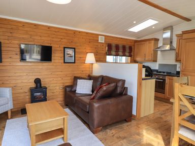 A living room with a brown leather sofa a wooden coffee table a television on a wood paneled wall and a kitchen area at Ramblers Rest Lodge Pinewood 22 Limefitt Park near Windermere