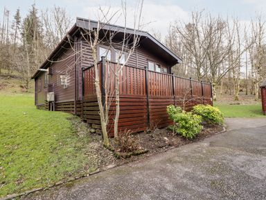 A wooden cabin with a fenced porch surrounded by grass and trees at Rowan Lodge in Pinewood 16 Limefitt Park near Windermere