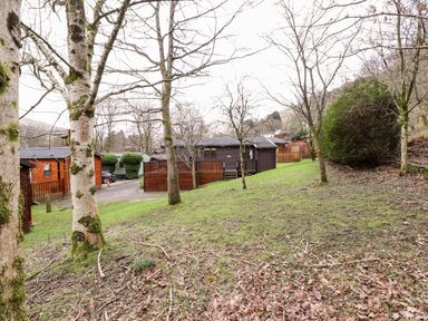 A grassy area with trees and wooden cabins with a driveway at Rowan Lodge Pinewood 16 Limefitt Park near Windermere