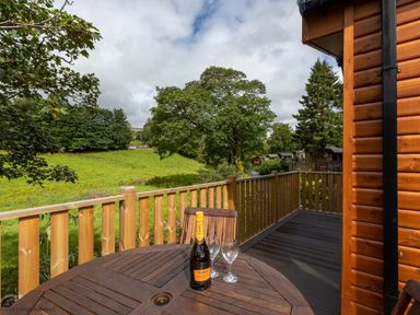A wooden deck with a round table holding a bottle and two glasses overlooking a grassy field and trees at Latterbarrow Lodge Beckside 46 Limefitt Park near Windermere