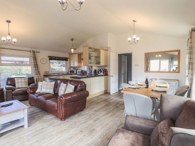 An open plan living room and kitchen with brown leather sofas a dining table set with plates glasses and a bottle and kitchen cabinets at Sunny Brow Lodge Lakeside 5 White Cross Bay near Windermere