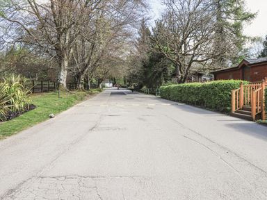 A paved road with trees on both sides and wooden cabins on the right at Sunny Brow Lodge Lakeside 5 White Cross Bay near Windermere