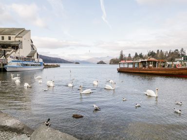 A lake with swans and ducks near docks with boats and buildings at Badgers Hollow Lodge Grasmere 30 White Cross Bay near Windermere