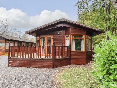 A wooden cabin with a fenced porch surrounded by trees and gravel at Cedar Lodge in Langdale 20 White Cross Bay near Windermere