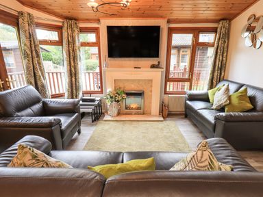 A living room with leather sofas a fireplace a wall-mounted television and windows at Cedar Lodge Langdale 20 White Cross Bay near Windermere
