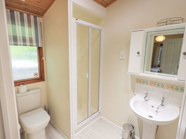 A bathroom with a toilet beside a frosted window a shower cubicle and a sink with a mirror cabinet above at Cedar Lodge Langdale 20 White Cross Bay near Windermere