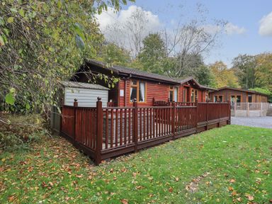 A wooden cabin with a fenced porch surrounded by trees and grass at Cedar Lodge in Langdale 20 White Cross Bay near Windermere