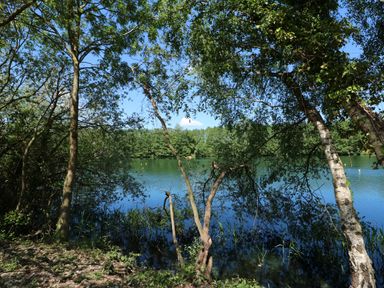 A lake surrounded by trees seen through branches of trees at Lakeside View in Pentney near King's Lynn