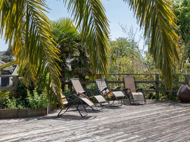 A wooden deck with four reclining chairs and palm trees at Seascape in Salcombe