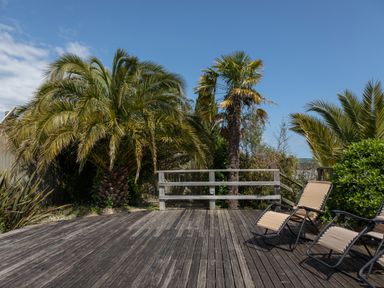 A wooden deck with two beige lounge chairs and palm trees at Seascape in Salcombe