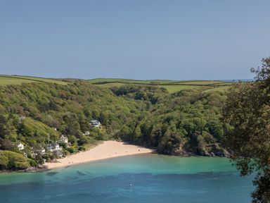 A sandy beach with houses and green trees along the shoreline at Seascape in Salcombe