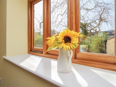 A windowsill with a white jug holding sunflowers by a wooden framed window at The Stables Burton Bradstock