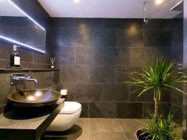 A bathroom with a toilet, vanity sink, and plant at Scilly Stack in Penzance