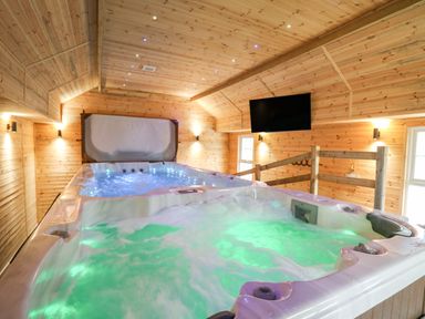 An indoor room with wooden walls and ceiling featuring a large hot tub with green and blue lights and a wall-mounted television at Tynewydd Fields in Cross Inn