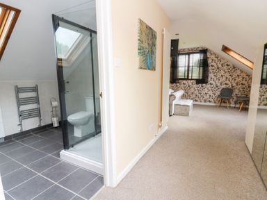 A bathroom with a shower and toilet at Tynewydd Fields in Cross Inn