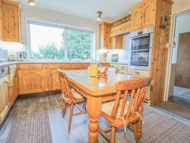A kitchen with wooden cabinets a wooden table with chairs and a window showing trees at Aelwyd Y Don in Tresaith