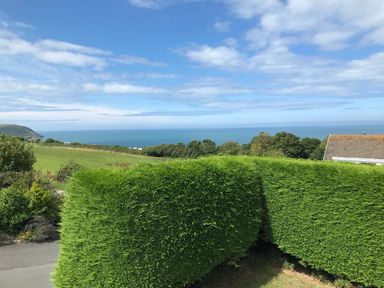 A view of hedges with a field trees and ocean under a partly cloudy sky at Aelwyd Y Don in Tresaith