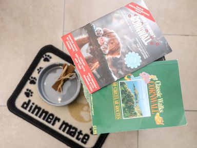 A pet feeding mat with a bowl and two Cornwall walking guidebooks at Chy-Whel in Sticker
