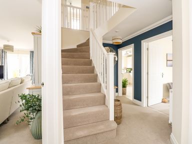 A carpeted staircase in a hallway with white railings a dark blue accent wall and doorways leading to a living room a kitchen and another room at Coral House in Overstrand