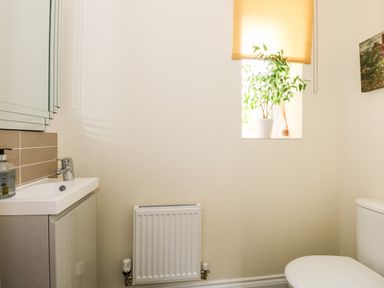 A small bathroom with a toilet a sink a radiator and a window with a plant on the sill at Coral House in Overstrand