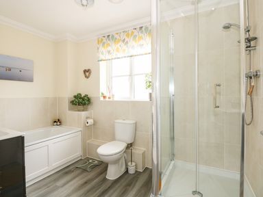 A bathroom with a bathtub toilet shower plants and a window with a patterned blind at Coral House in Overstrand