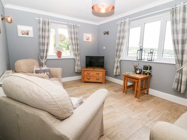 A sitting room with armchairs a television on a wooden stand and plaid curtains at Farm View Lodge in Painswick