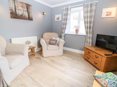 A living room with two armchairs a wooden TV stand and a window with checkered curtains at Farm View Lodge in Painswick
