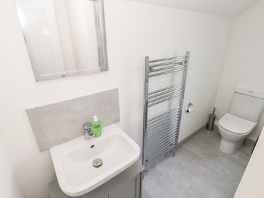 A bathroom with a sink a mirror a chrome towel radiator a toilet and a toilet brush holder at Westwinds Tenby