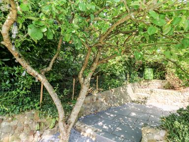 An outdoor patio area with stone paving a tree and stone retaining walls at Westwinds in Tenby
