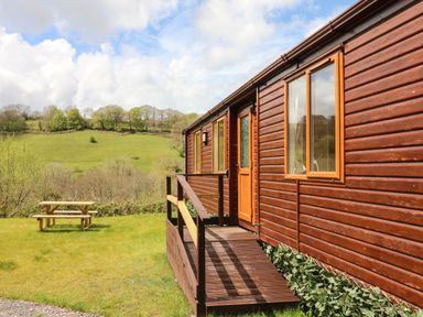 A wooden cabin with a ramp leading to the door and a picnic table on the grass outside in a rural setting at Exe Valley Lodge in Bampton Devon
