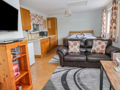A combined living area with a kitchen, brown leather sofa, wooden bed, and a wooden shelf at The Pool House in Crediton