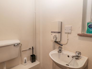 A small bathroom with a toilet, sink, hand dryer, and hand soap on a shelf at The Pool House in Crediton