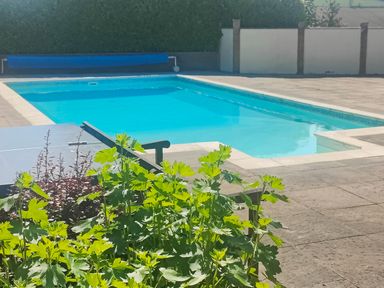 An outdoor swimming pool with blue water surrounded by a paved area and green plants at The Pool House in Crediton